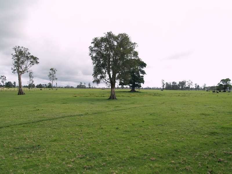 153 Right Bank Road, Belmore River NSW 2440