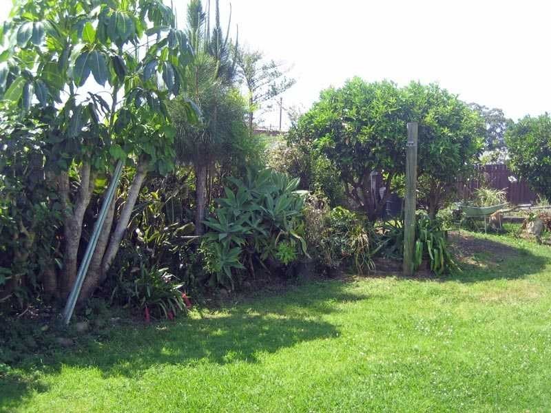 77 Sea Street, Kempsey NSW 2440