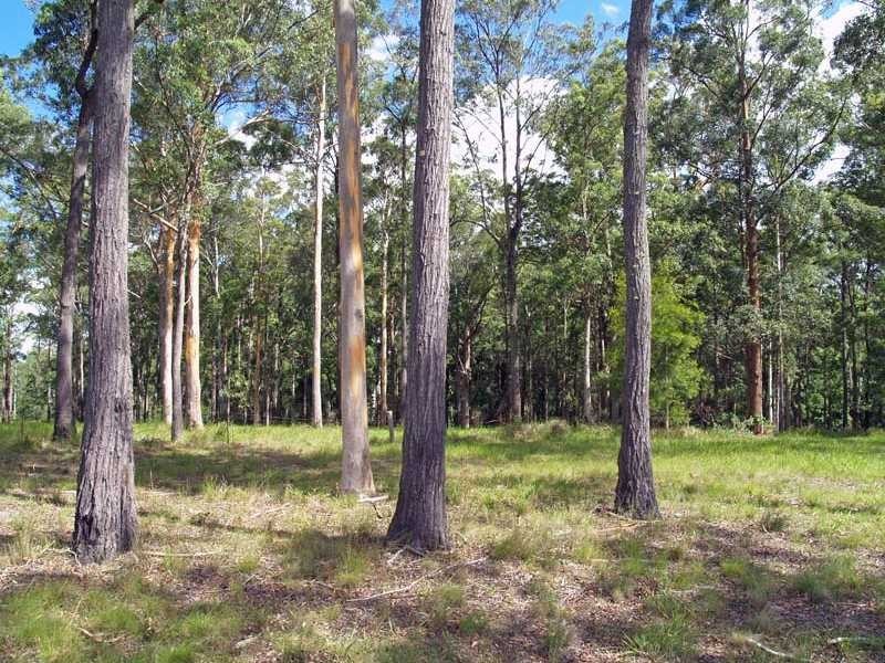 Lot 2 Link Road, Kundabung NSW 2441