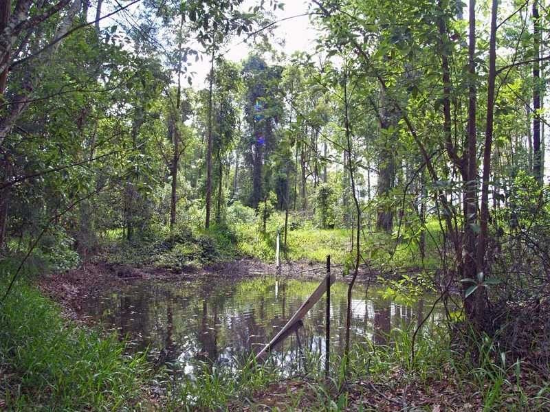 Lot 2 Link Road, Kundabung NSW 2441