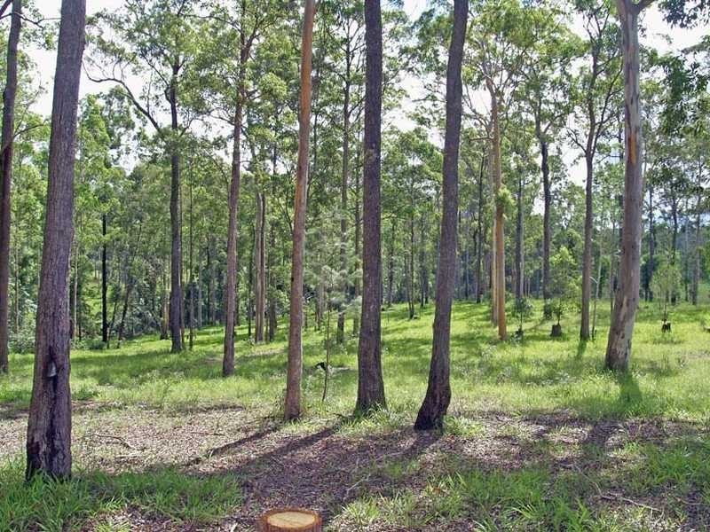 Lot 2 Link Road, Kundabung NSW 2441