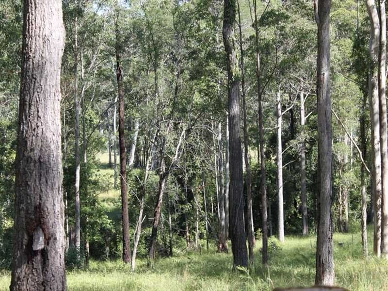 Lot 2 Link Road, Kundabung NSW 2441