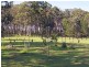 263 Crescent Head Road, South Kempsey NSW 2440
