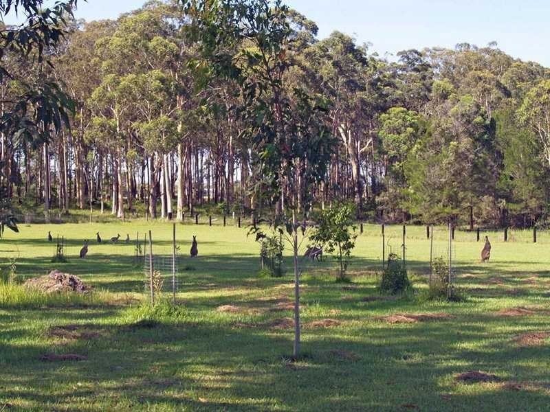 263 Crescent Head Road, South Kempsey NSW 2440