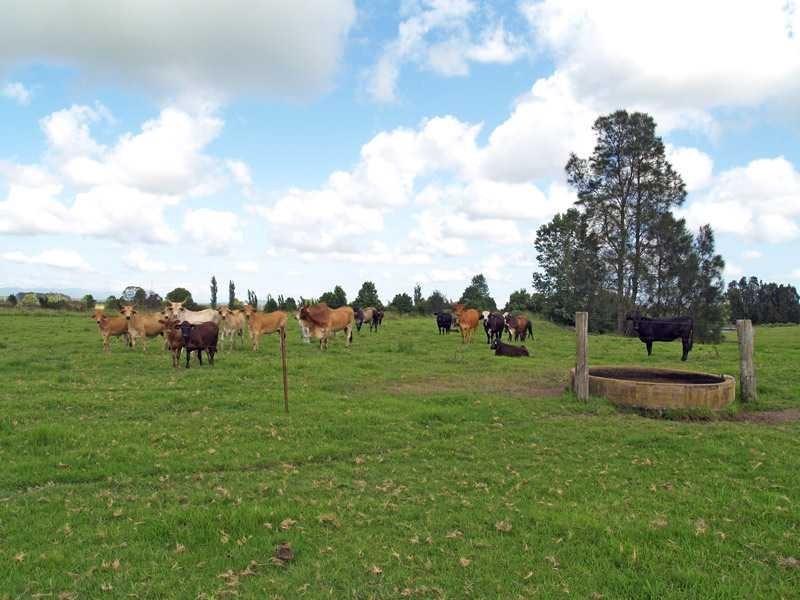 19 Third Lane, Kempsey NSW 2440