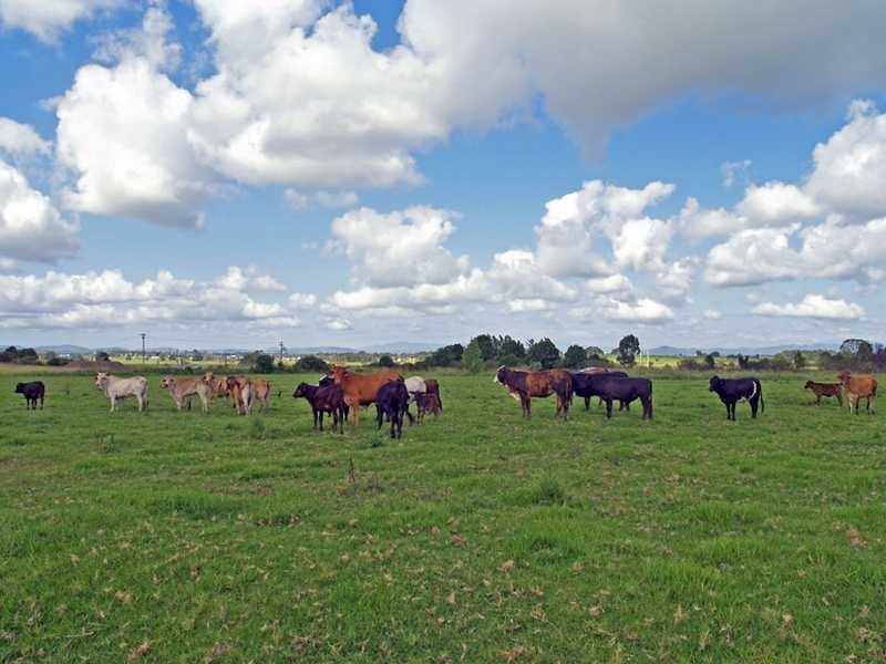 19 Third Lane, Kempsey NSW 2440