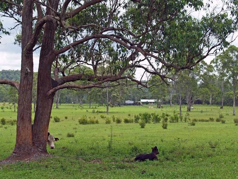 246 Mungay Flat Road WILLAWARRIN VIA, Kempsey NSW 2440