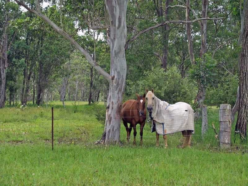 246 Mungay Flat Road WILLAWARRIN VIA, Kempsey NSW 2440