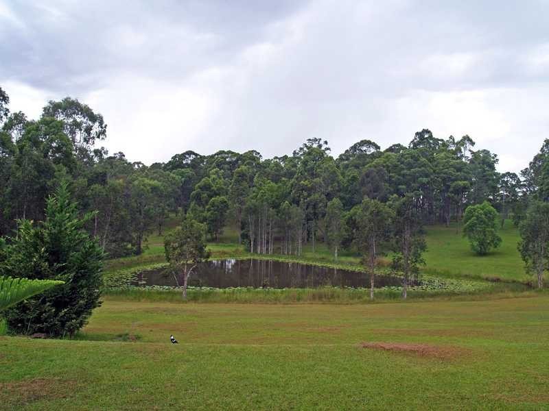 1478 Collombatti Road COLLOMBATTI VIA, Kempsey NSW 2440