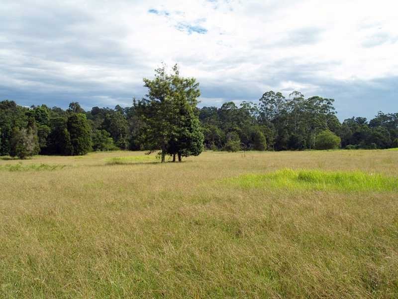 1478 Collombatti Road COLLOMBATTI VIA, Kempsey NSW 2440