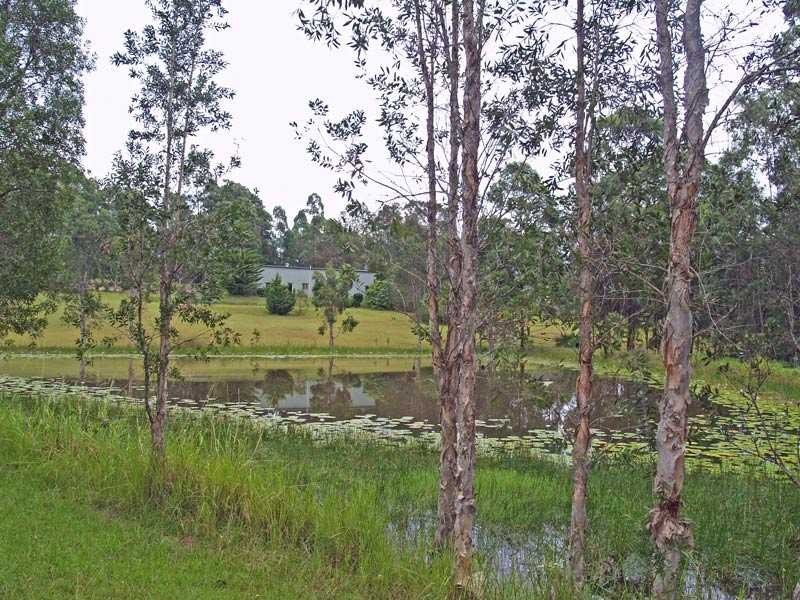 1478 Collombatti Road COLLOMBATTI VIA, Kempsey NSW 2440