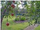 414 Armidale Road YARRAVEL VIA, Kempsey NSW 2440