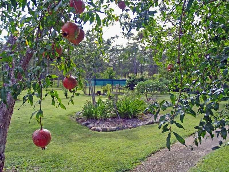414 Armidale Road YARRAVEL VIA, Kempsey NSW 2440