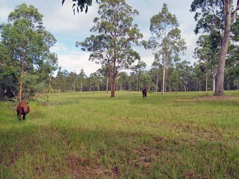 414 Armidale Road YARRAVEL VIA, Kempsey NSW 2440