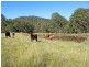 7986 Armidale Road, Armidale NSW 2350