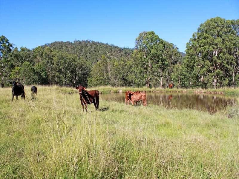 7986 Armidale Road, Armidale NSW 2350