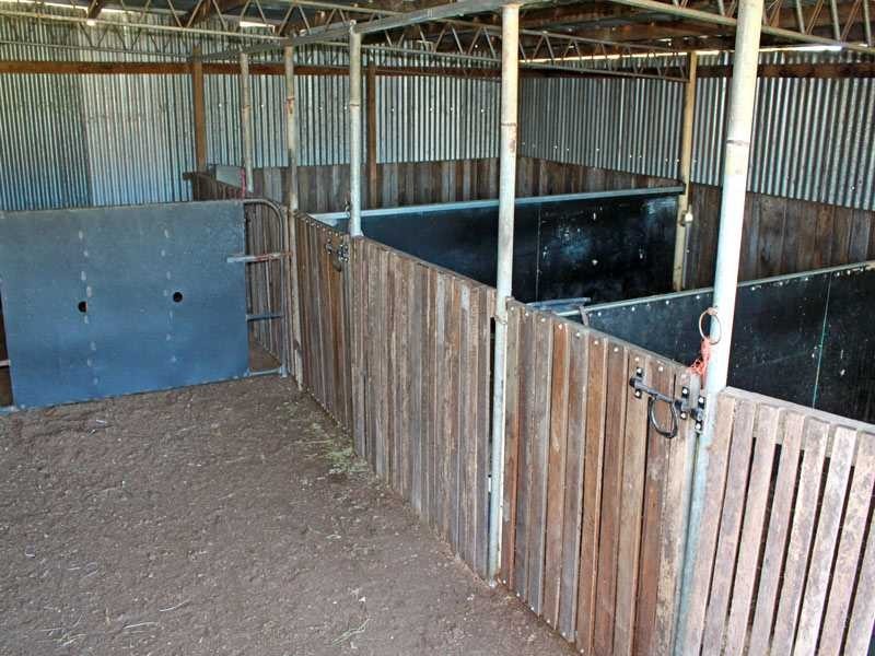 7986 Armidale Road, Armidale NSW 2350