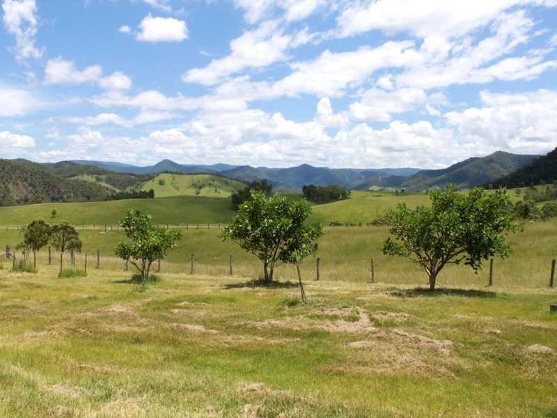 7986 Armidale Road, Comara NSW 2440