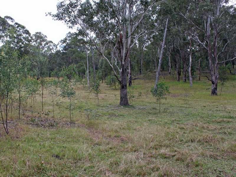 1102 Willi Willi Road TEMAGOG VIA, Kempsey NSW 2440