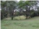 1323 Armidale Road DEEP CREEK VIA, Kempsey NSW 2440