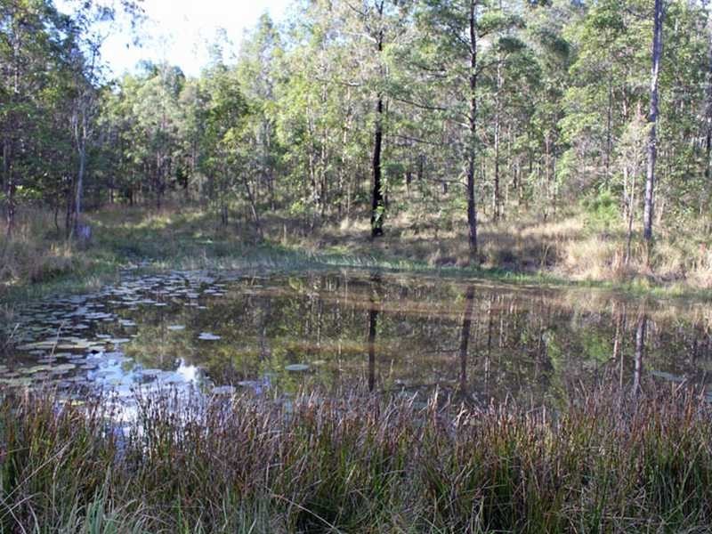 103 Temagog Road, Temagog NSW 2440