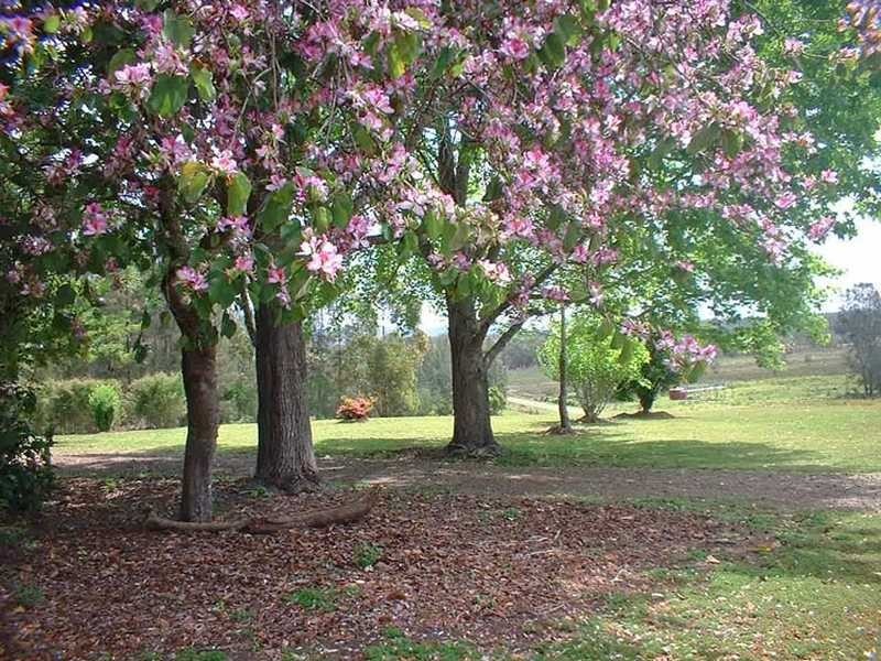 1296 Maria River Road, Crescent Head NSW 2440