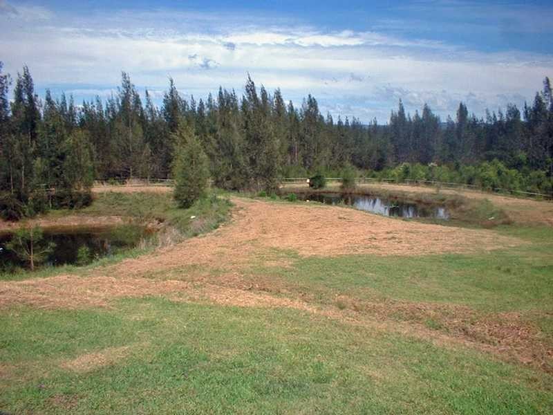 1296 Maria River Road, Crescent Head NSW 2440