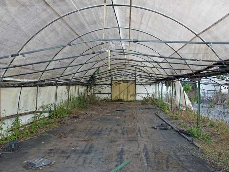 1296 Maria River Road, Crescent Head NSW 2440