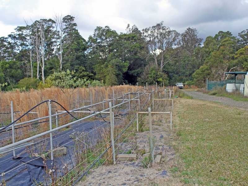 1296 Maria River Road, Crescent Head NSW 2440