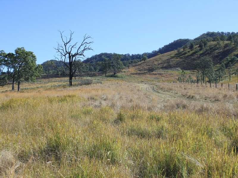 Lot 54 Fifes Creek Road MCKENZIES CREEK VIA, Kempsey NSW 2440