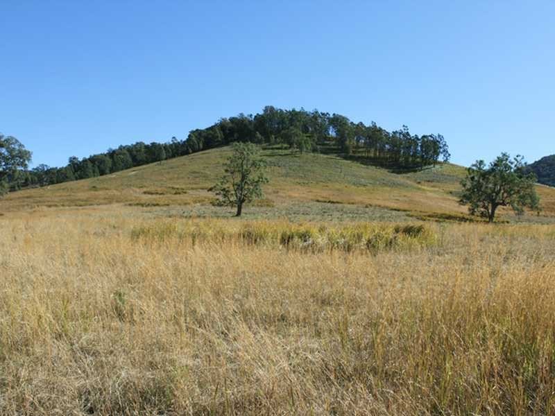 Lot 55 Fifes Creek Road MCKENZIES CREEK VIA, Kempsey NSW 2440