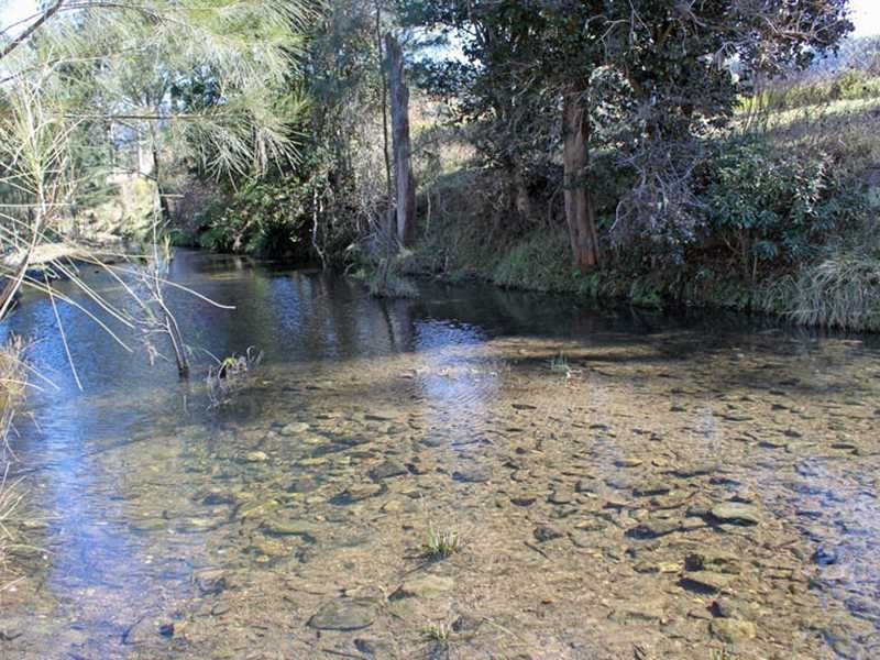 Lot 55 Fifes Creek Road MCKENZIES CREEK VIA, Kempsey NSW 2440