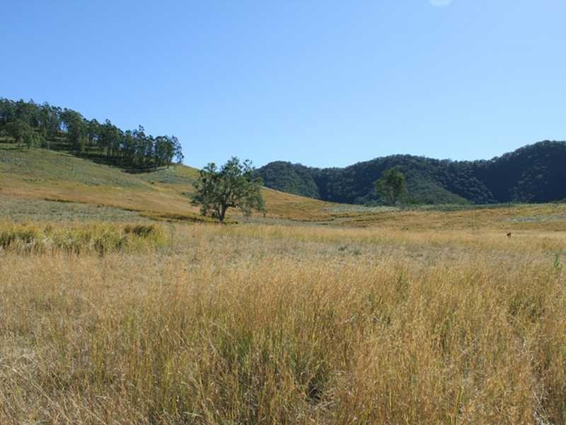 Lot 55 Fifes Creek Road MCKENZIES CREEK VIA, Kempsey NSW 2440