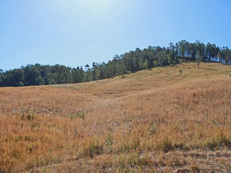 Lot 58 & 59 Fifes Creek Road, Toorooka NSW 2440