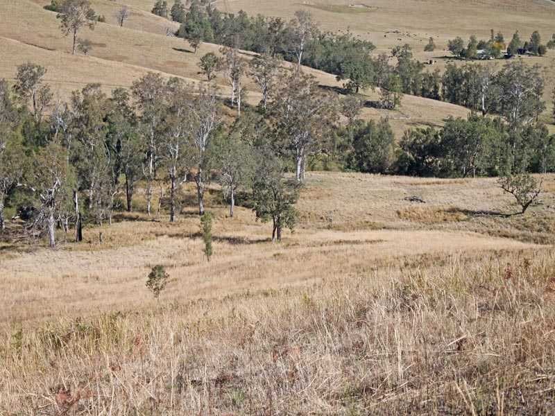 Lot 58 & 59 Fifes Creek Road, Toorooka NSW 2440