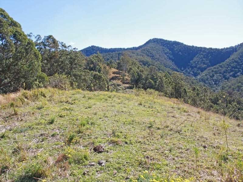 Lot 58 & 59 Fifes Creek Road, Toorooka NSW 2440