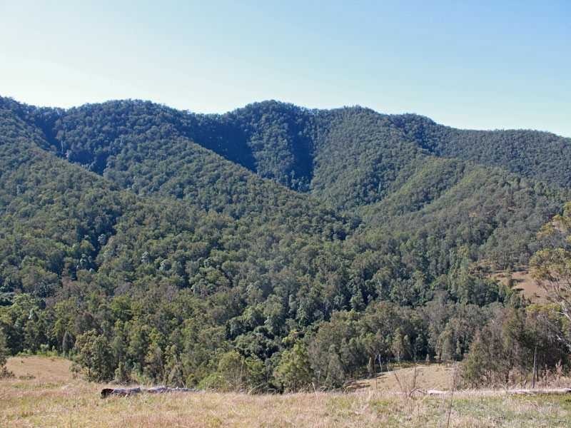 Lot 58 & 59 Fifes Creek Road, Toorooka NSW 2440