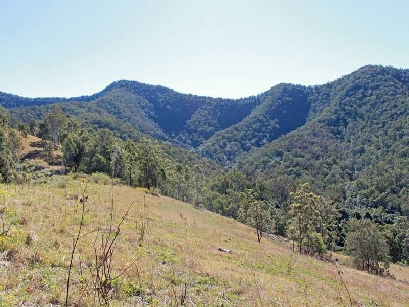 Lot 58 & 59 Fifes Creek Road, Toorooka NSW 2440