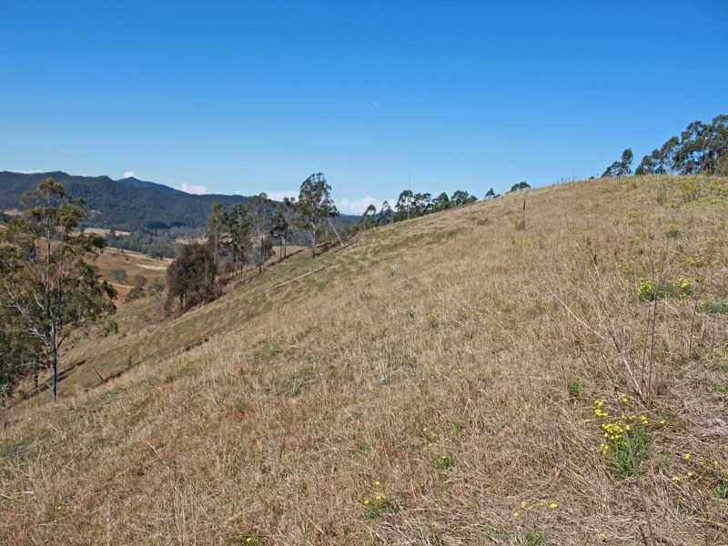 Lot 58 & 59 Fifes Creek Road, Toorooka NSW 2440