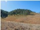 Lot 58 & 59 Fifes Creek Road, Toorooka NSW 2440