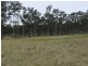 810 Mines Road, Mungay Creek NSW 2440