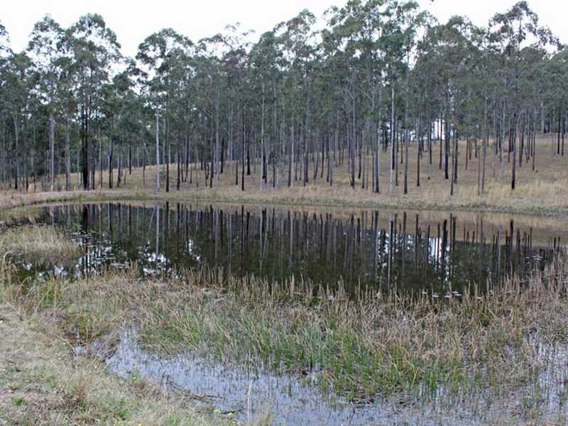 810 Mines Road, Mungay Creek NSW 2440