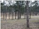 810 Mines Road, Mungay Creek NSW 2440