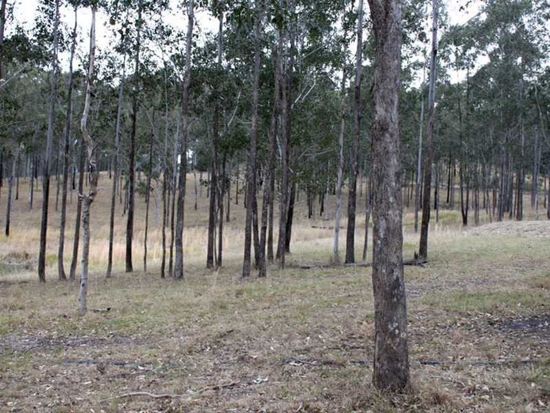 810 Mines Road, Mungay Creek NSW 2440
