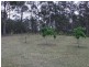 810 Mines Road, Mungay Creek NSW 2440