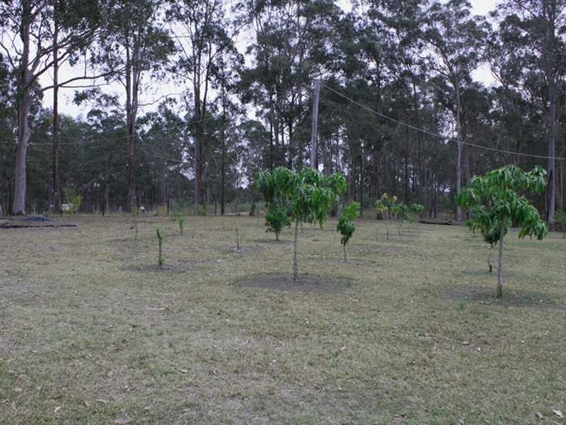 810 Mines Road, Mungay Creek NSW 2440