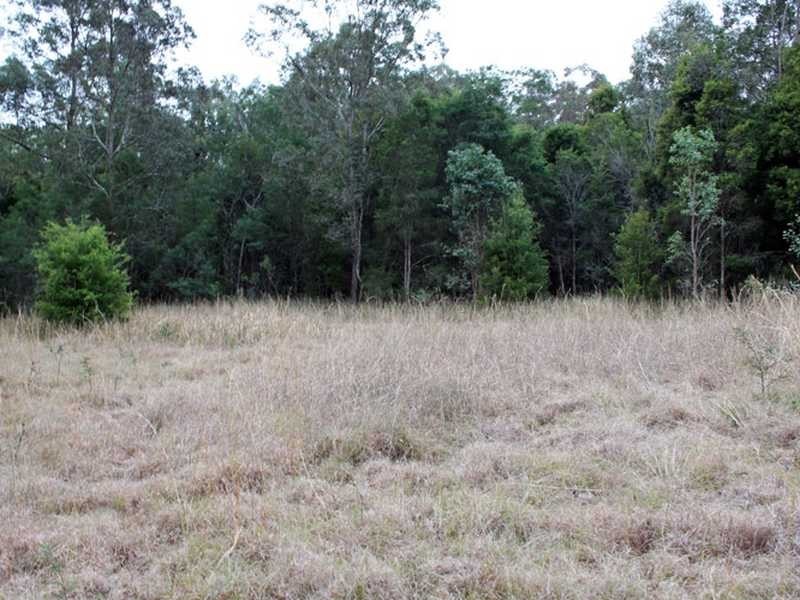 810 Mines Road, Mungay Creek NSW 2440