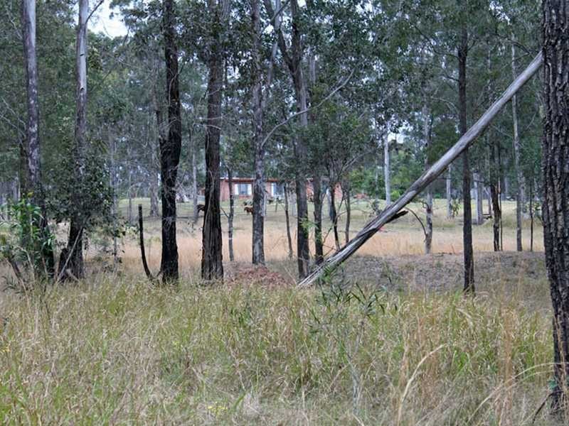 810 Mines Road, Mungay Creek NSW 2440