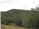 Lot 6 Long Flat Creek Road, Wittitrin NSW 2440