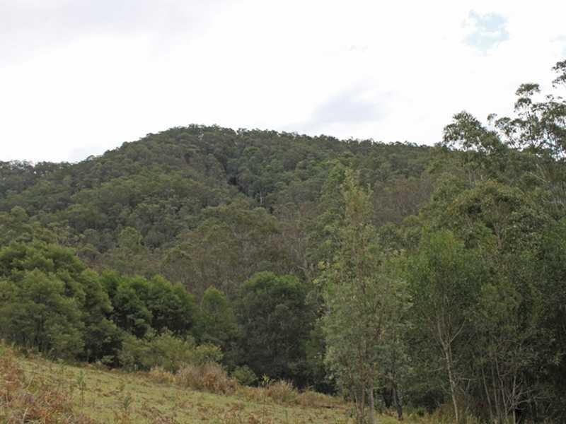 Lot 6 Long Flat Creek Road, Wittitrin NSW 2440